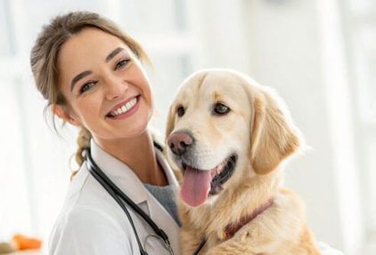 Pet Wellness